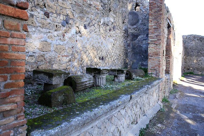 Skip-the-line Exclusive Private Full-Day Complete Ancient Pompeii Guided Tour - Included in the Tour