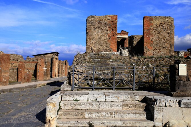 Skip the Line Pompeii Tour for Kids and Families W Special Guide - Accessibility and Fitness