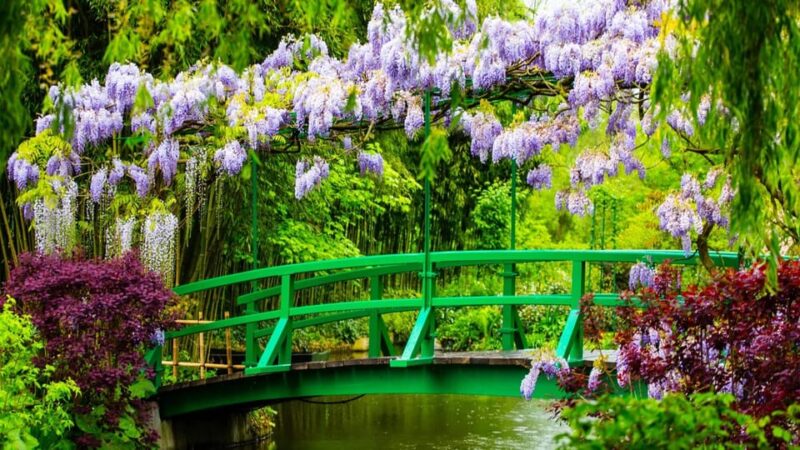 Skip the Line - Private Morning Visit Claude Monet'S Garden - Itinerary and Experience