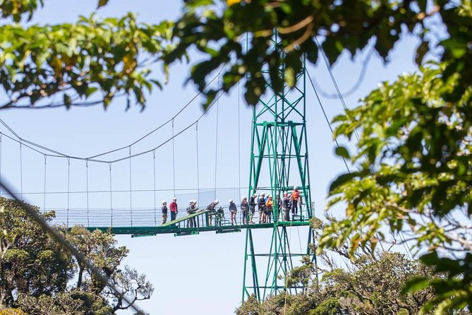 Sky Trek & Sky Tram at MONTEVERDE - Participant Details