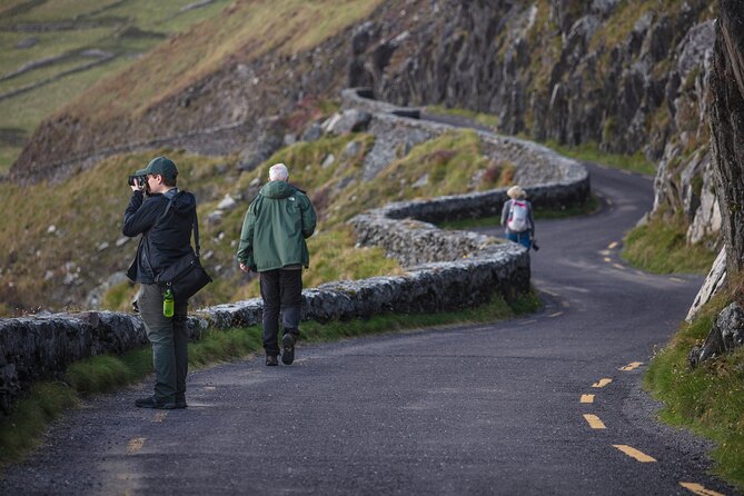 Slea Head Photo & Sightseeing Tour - Meeting and Pickup