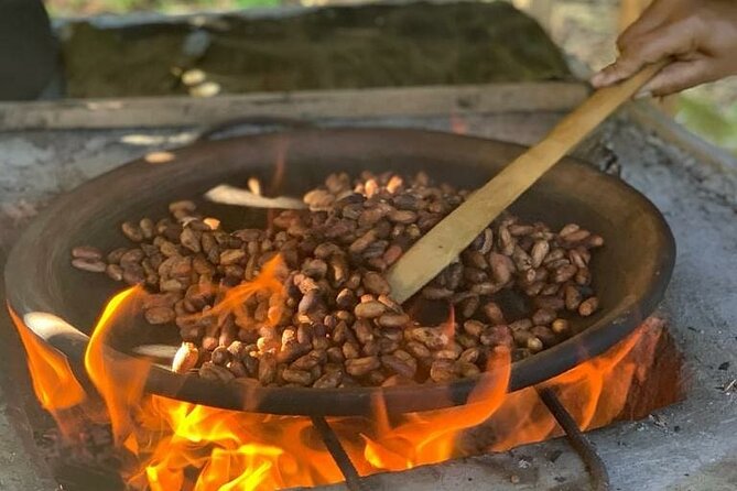 Slow Travel From Quito to Cuyabeno Amazon - Exploring the Jungle and Community