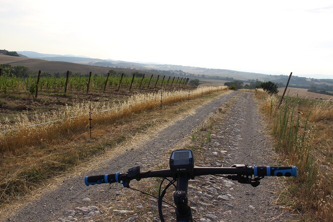 Small Group E-Bike Chianti Tour With Farm Lunch From Siena - Tour Details