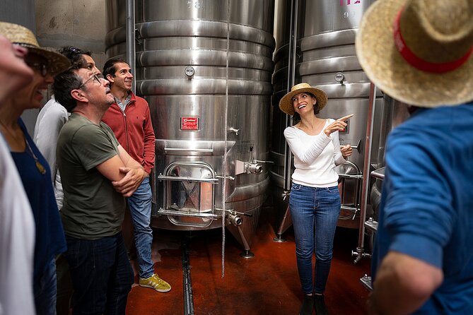 Small-Group Half-Day Languedoc Wine and Oyster Tour From Montpellier - Tasting Diverse Wines