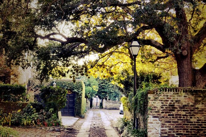 Small Group Historic Charleston Walking Tour - Highlights of the Tour