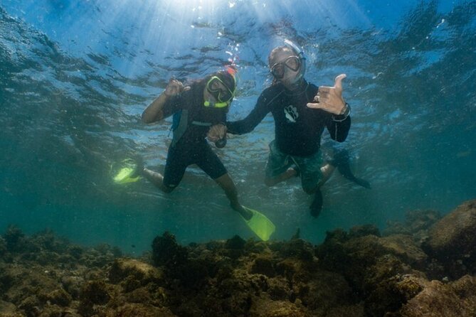Small-Group Snorkeling Boat Trip in Guánica, Puerto Rico - Pricing and Booking Information