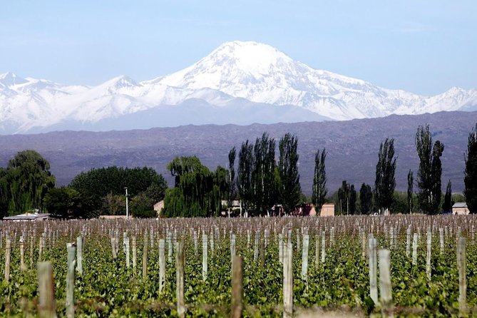 Small Group Tour in 3 Wineries in North Uco Valley With Lunch - Winery Visits and Tastings