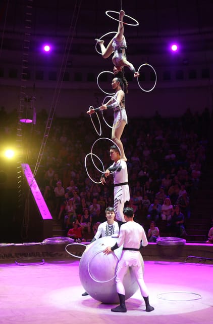 Small Group Tour Of Acrobatics Show And Peking Opera Show - Acrobatic Show Experience