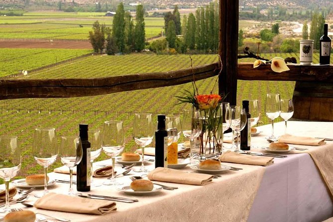 Small-Group Tour: Portillo Ski Center, Inca Lagoon Plus Premium Wineries in Aconcagua Valley - Frequently Asked Questions