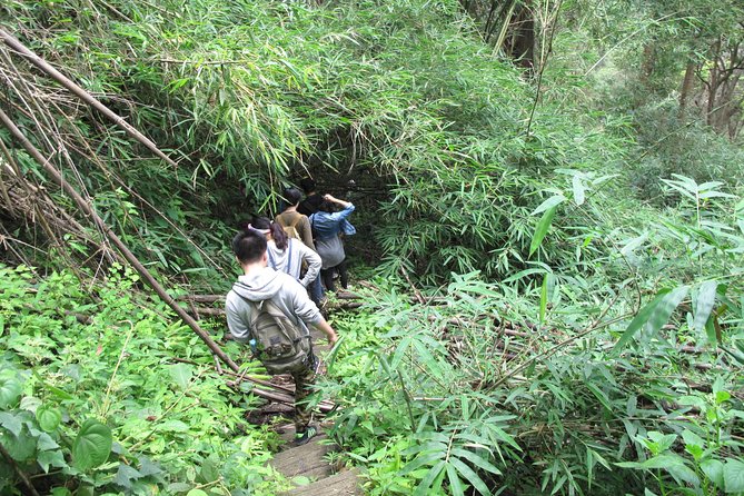 Small Group : Trekking Trip in Chiang Mai (Doi Suthep Area) With Market Tour - Booking Process