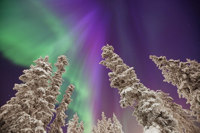Small Group Yukon Aurora Viewing - Included Amenities
