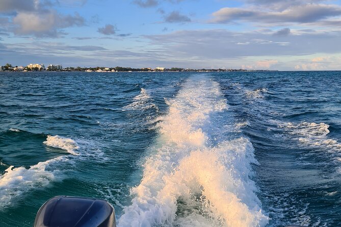 Snorkel HolChan Shark Ray Alley and Caye Caulker Manatee Spotting - Meeting and Pickup Arrangements