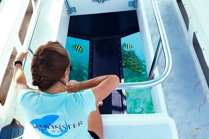 Snorkel, Sandbar & Dolphin Excursion - Meeting and Pickup