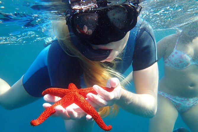 Snorkeling Excursion in Tabarca Island - Snorkeling Experience