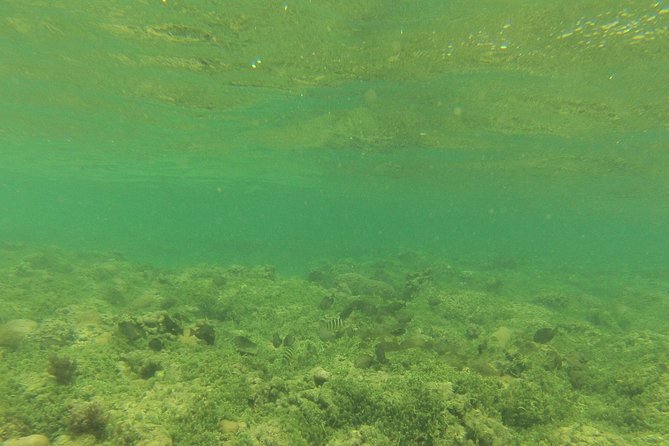 Snorkeling in Gatas Bay - Snorkeling Gear and Inclusions