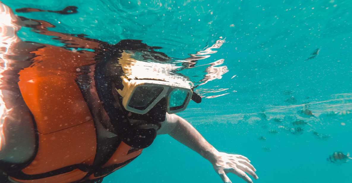 Snorkeling in Negombo - Sights and Marine Life