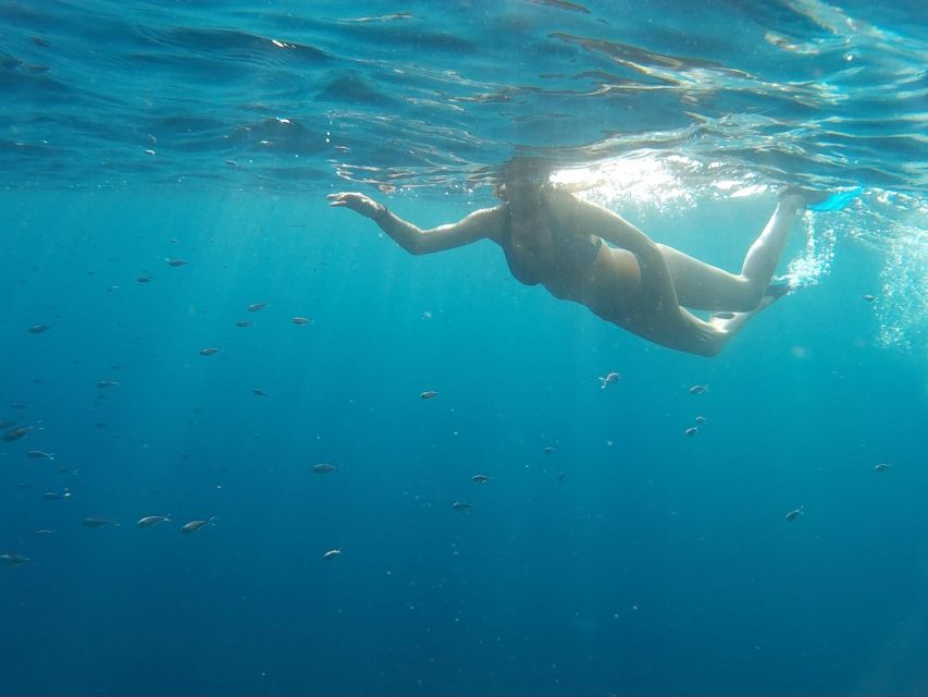 Snorkeling in Port City - Explore Underwater Environments