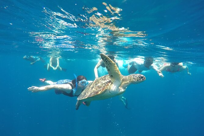 Snorkeling Tour In Gili Islands Pick Up From Lombok Or Gili - Accessibility Features