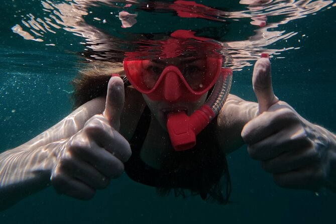 Snorkeling With Turtles in Fujairah With Transfer & BBQ Lunch - Inclusions and Amenities