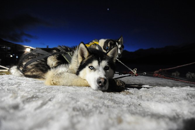 Snow and Fire - Traveler Experiences