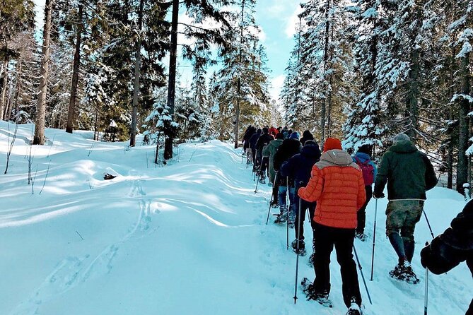 Snowshoe Tour in Winter Wonderland - Oslo - Tour Highlights