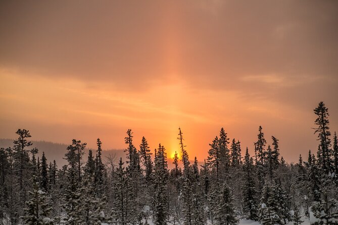 Snowshoe Winter Hike From Stockholm - Equipment and Preparation