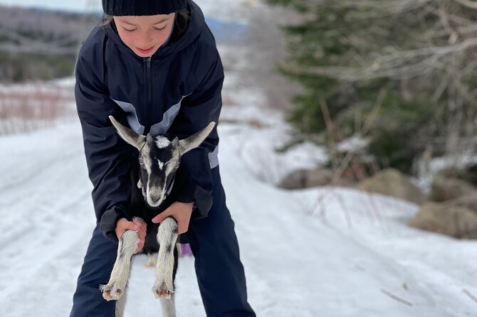 Snowshoeing With Mountain Goats Private Activity - Duration and Group Details