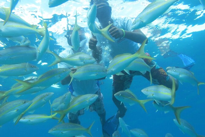 Sosua Party Boat - Private Tour-Snorkeling- Ambar Cove -Taino Bay - Additional Information