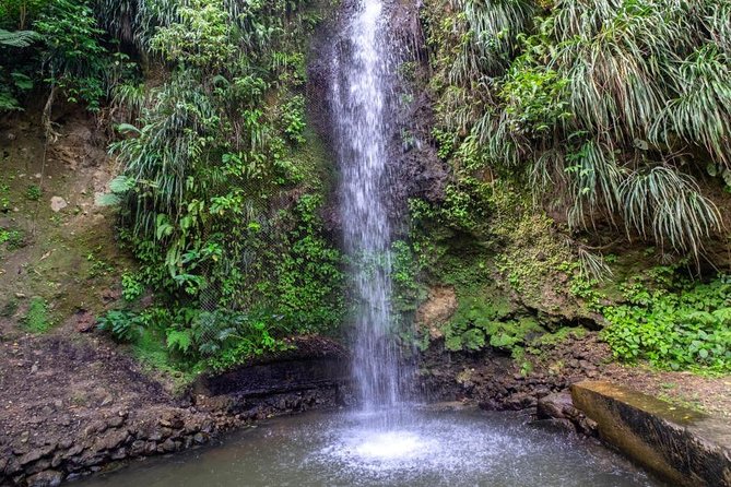 Soufriere Tour - Accessibility and Participation
