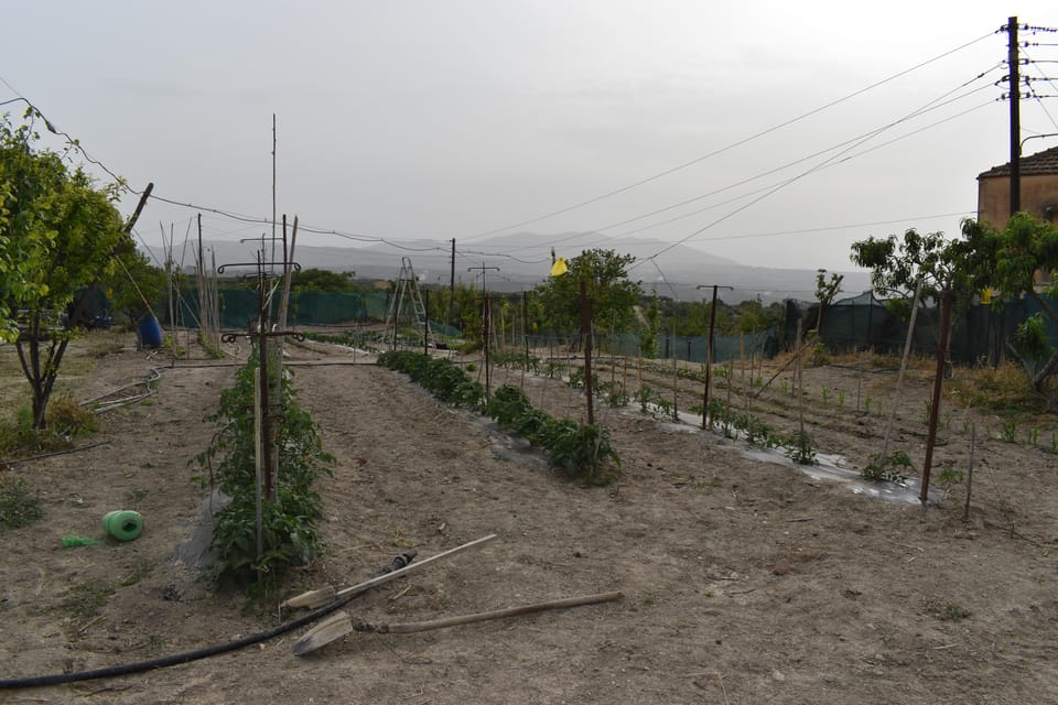 Soulouksina Cultural E-Bike Experience in Crete - Agricultural and Social Practices