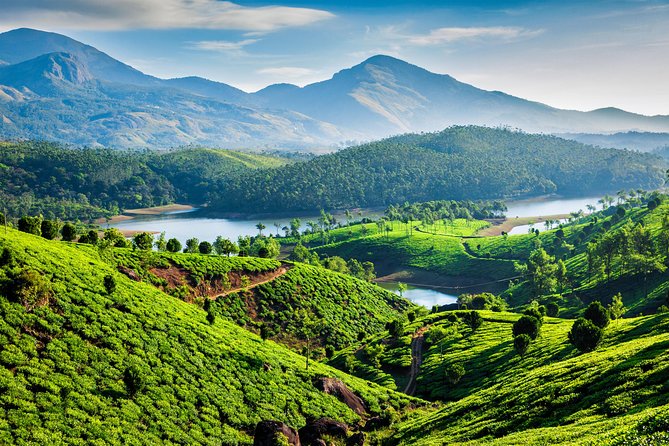 South India Tour- Temple Architecture and Backwaters - Pricing and Inclusions