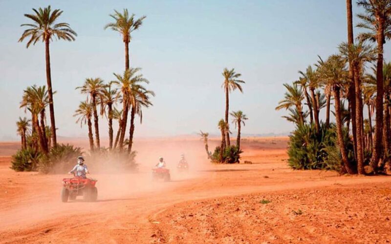 Southern Tunisia: Embrace the Desert'S Serenity 4 Days - Inclusions