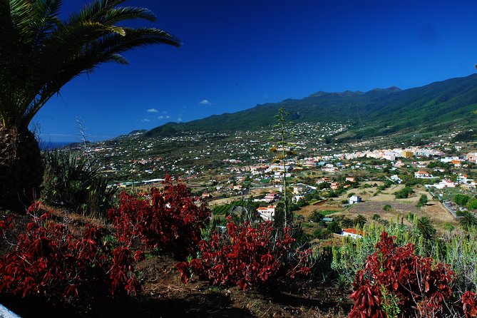 Special Cruise Tour Center and South La Palma Review - Cancellation and Booking Policies