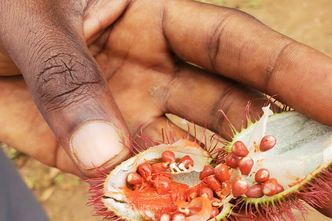 Spice Tour Zanzibar - Pricing and Payment Options