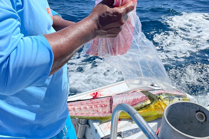 Sport Fishing 6 Hours Private Guided Tour in Flamingo Costa Rica - Tour Schedule