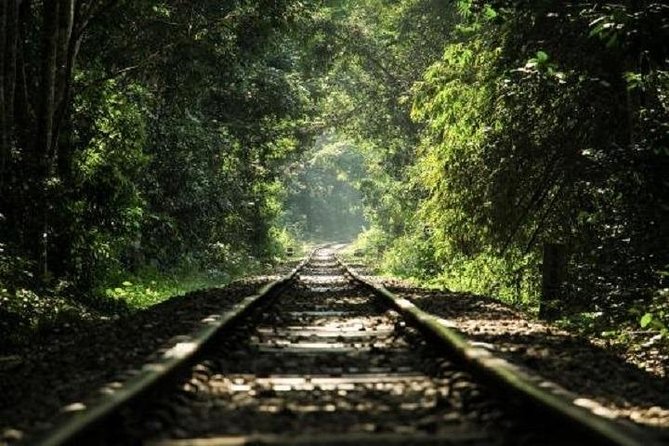 Sreemangal Tour! Sylhet, Bangladesh - Meal Options and Dining Experience