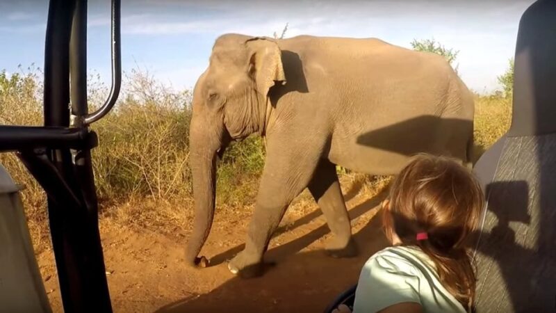 Sri Lanka 2-Day National Parks Trip - Detailed Itinerary