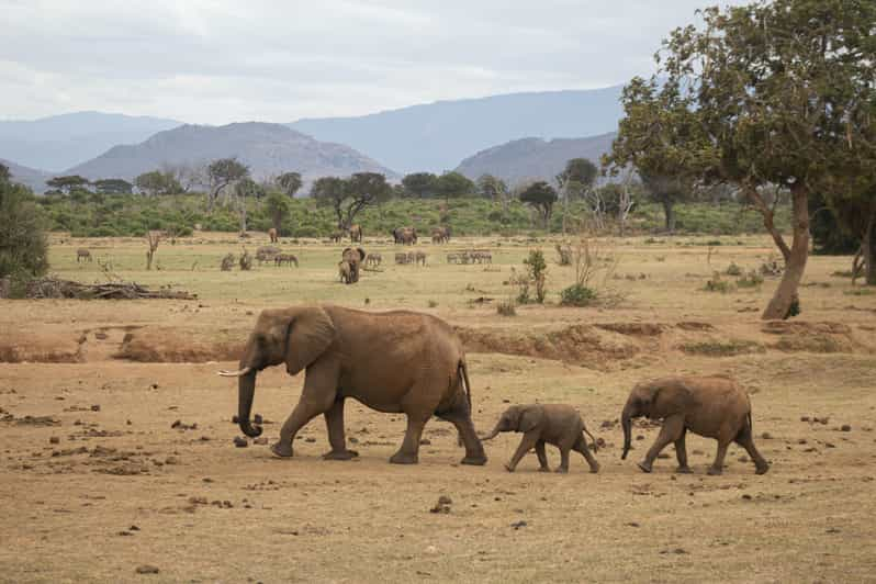 Sri Lanka: 3-Day Nature Tour, Sinharaja, Udawalawe, Horton - Sinharaja Forest Reserve