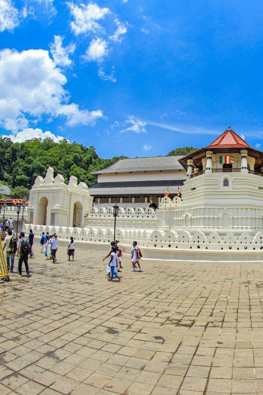 Sri Lanka: 4N5DAY Guided FULL TOUR With Hotel Accommodations - Accommodations and Transportation