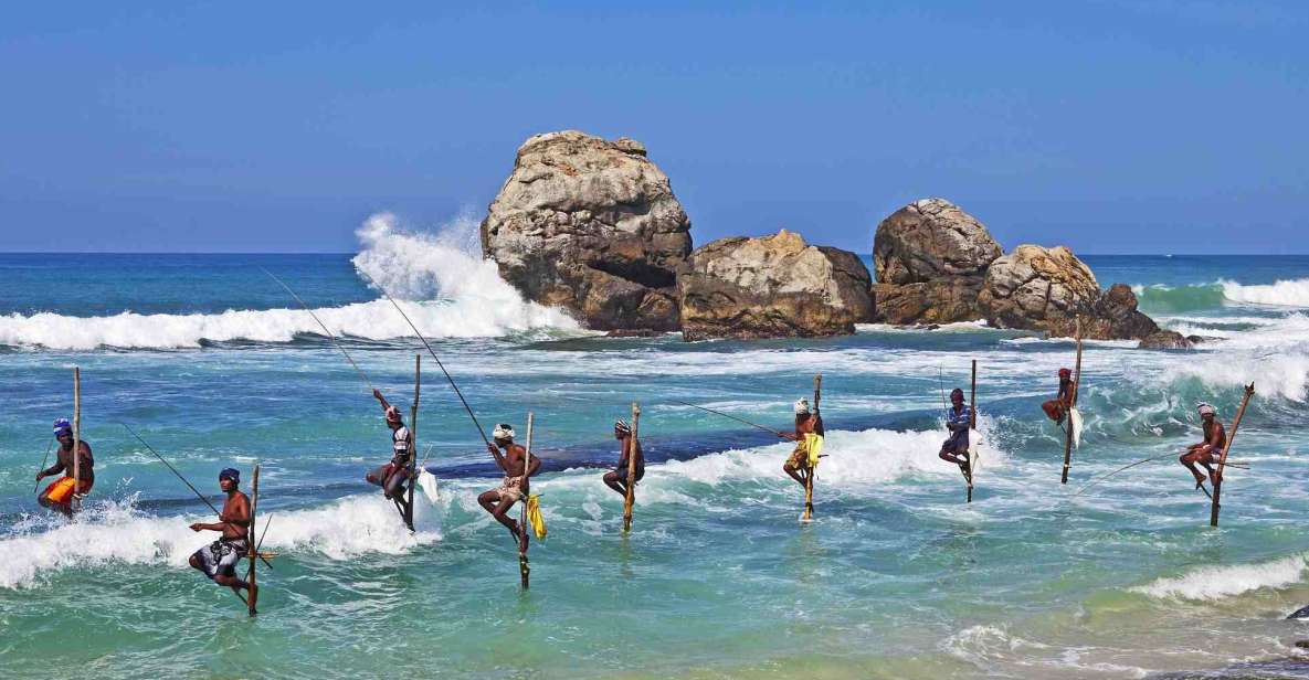 Sri Lanka Culture, Nature, Beach, Sightseeing Tour - Included Services