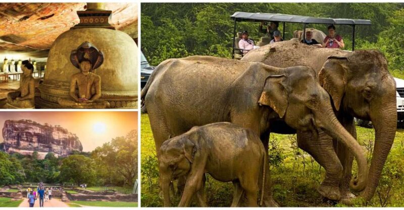 Sri Lanka Hill Country Bless Kandy, Nuwara Eliya and Ella - Included Features
