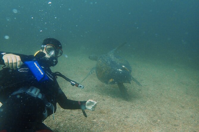 SSI Advanced Adventurer Diver Course - Included in the Course
