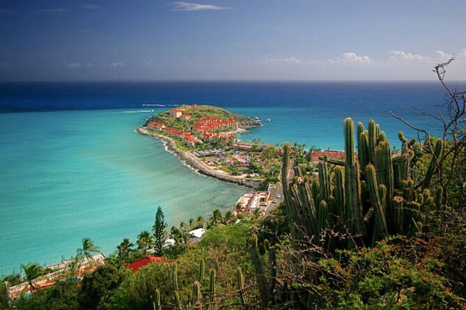 St Maarten Shore Excursion:Sights, Shopping & Sand Small Group Tour - Reviews
