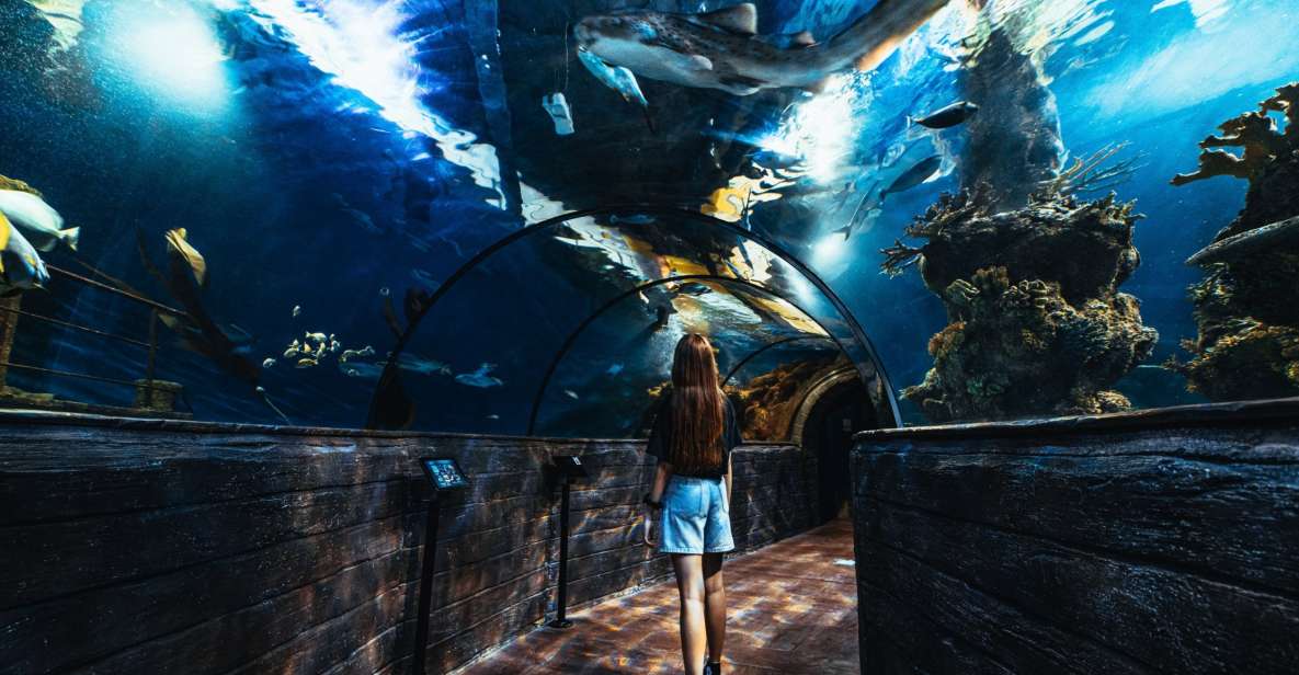 St Pauls Bay: Malta National Aquarium Entry Ticket - Experience Highlights