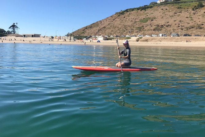 Stand up Paddle Board in Malibu - Coastal Attractions and Wildlife