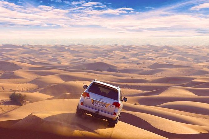 Standard Dubai 4x4 Desert Safari - Sunset & BBQ Dinner - Delectable Barbecue Dinner