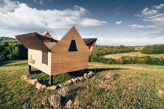 Stellar Picnic: Delight at Sunset in the Tuscan Countryside - Participation and Accessibility