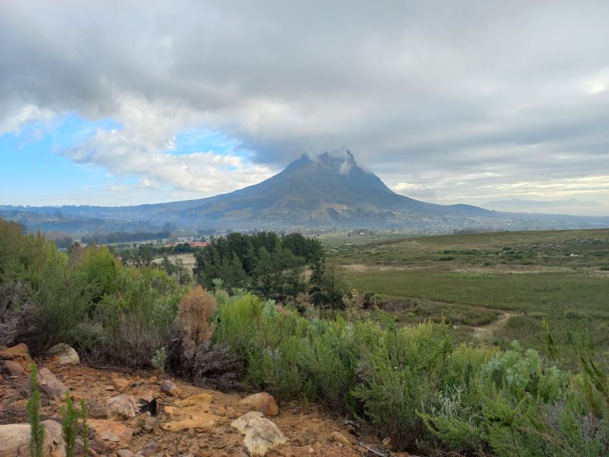 Stellenbosch: Half-Day Guided Nature Hike and Wine Tasting - Hike Through Natural Landscapes