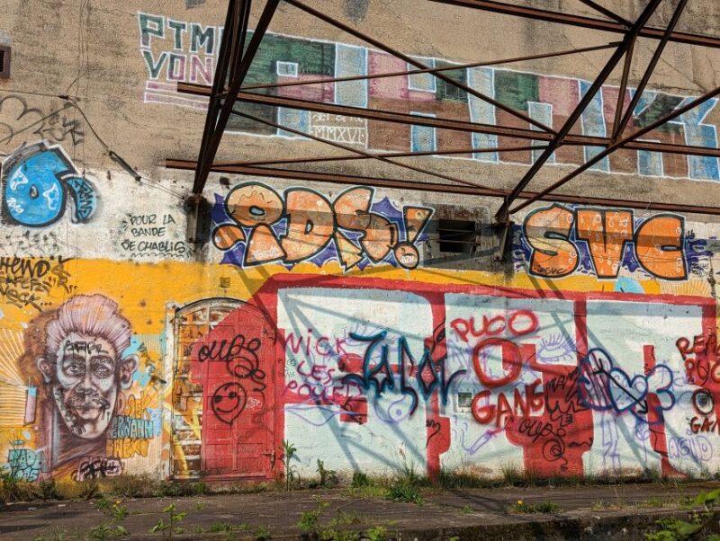 Strasbourg: Street-Art Tour - Meeting Point and Logistics
