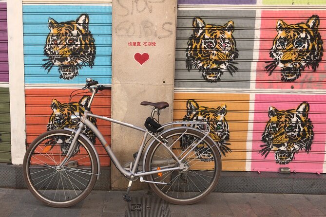 STREET ART Private Guided Tour on Bike, E-Bike, E-Step or Segway - Attractions and Highlights